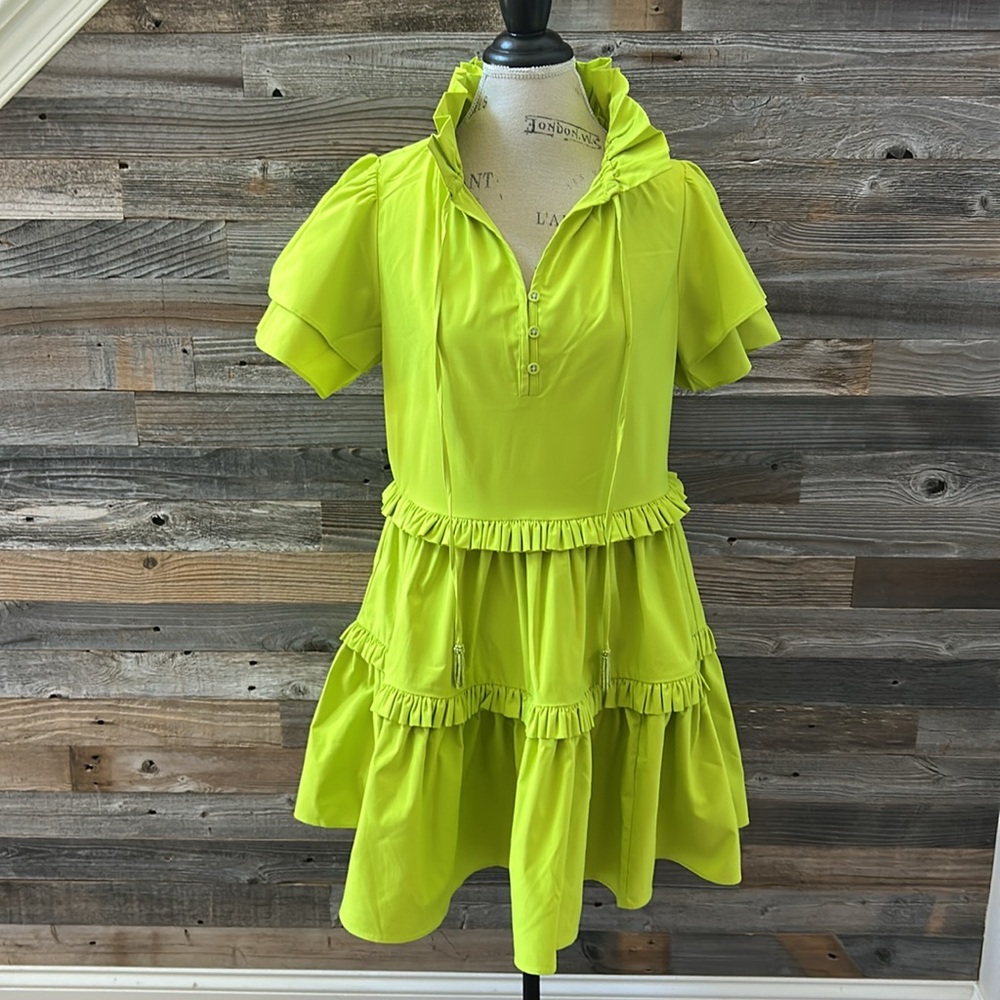 Alden Adair Hallie Ruffle Dress in Citrus Size Small NWT - Picture 2 of 12